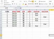 Ekran Alıntısı.JPG